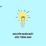 Tổng hợp các bài tập tiếng Anh cho người mất gốc