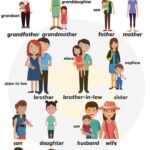 Từ vựng tiếng Anh về gia đình (Family Vocabulary)