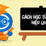 Cổng thông tin tuyển sinh trường Đại học Đông Á Đà Nẵng