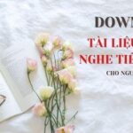 Download trọn bộ tài liệu luyện nghe tiếng Anh từ 0 đến level bản ngữ - LangGo