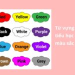 Tổng hợp 100+ từ vựng tiếng Anh tiểu học theo chủ đề kèm hình ảnh, bài tập&nbsp;