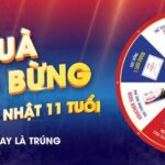 Lộ trình luyện thi TOEIC, học TOEIC Mục tiêu 250 - 500