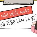 Tổng Hợp Từ Vựng Tiếng Anh về Sự Ngu Ngốc