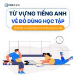 Tổng hợp các từ vựng tiếng Anh về đồ dùng học tập phổ biến nhất