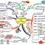 Các chủ đề từ vựng tiếng Anh ôn thi trường chuyên phổ biến nhất