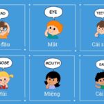 70+ TỪ VỰNG VỀ CƠ THỂ NGƯỜI: TÊN TIẾNG ANH CỦA CÁC BỘ PHẬN CƠ THỂ
