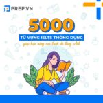 5000 từ vựng IELTS thông dụng cơ bản và nâng cao định dạng PDF