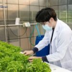 100+ Từ vựng tiếng Anh chuyên ngành công nghệ thực phẩm