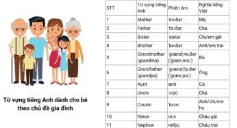 300+ TỪ VỰNG TIẾNG ANH CHO BÉ THEO NHỮNG CHỦ ĐỀ  QUEN THUỘC NHẤT [KÈM FLASHCARD]