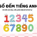 Số đếm tiếng Anh: Hướng dẫn chi tiết cách đọc, viết và phân biệt với số thứ tự