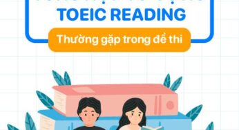 Tổng hợp các từ vựng TOEIC Reading thông dụng chinh phục mọi đề thi!