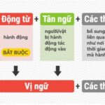 9 cấu trúc câu trong tiếng anh cơ bản để bắt đầu học Writing