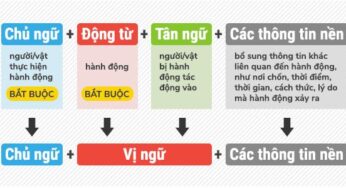 9 cấu trúc câu trong tiếng anh cơ bản để bắt đầu học Writing