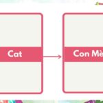 Tổng hợp 10 bài tập luyện dịch tiếng anh hiệu quả