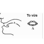 Cách phát âm /ʌ/ và /ɑ:/