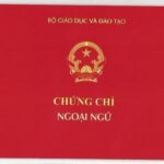 Vì Sao Nên Chọn Học Chứng Chỉ Anh Văn Giao Tiếp