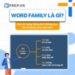 Word family là gì? Ghi nhớ từ vựng tiếng Anh thông qua Họ từ ra sao?