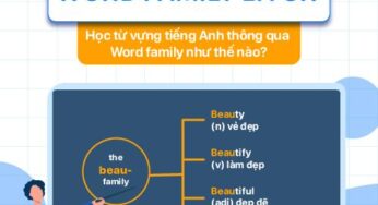 Word family là gì? Ghi nhớ từ vựng tiếng Anh thông qua Họ từ ra sao?
