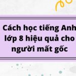 Cách học tiếng Anh lớp 8 hiệu quả cho người mất gốc