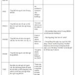 Tổng hợp kiến thức tiếng Anh lớp 12 trọng tâm nhất ôn thi THPT Quốc Gia