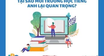 8 cách tạo môi trường học tiếng Anh cho người mới bắt đầu hiệu quả