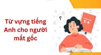 500 từ vựng tiếng Anh cho người mất gốc theo chủ đề & Cách học