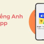 # 10 app học từ vựng tiếng Anh MIỄN PHÍ tốt nhất (2023)