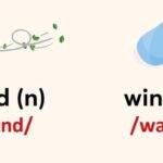 BẢNG PHIÊN ÂM IPA – CÁCH PHÁT ÂM CHUẨN QUỐC TẾ [44 ÂM]