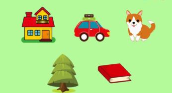 Cách sắp xếp trật tự từ trong câu tiếng Anh