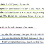 Các Thì Trong Tiếng Anh: Hướng Dẫn Tự Học Trọn Vẹn 12 Thì [2023]