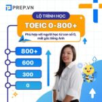Lộ trình thi TOEIC cho người mới bắt đầu từ 0-800+ trong 3-5 tháng