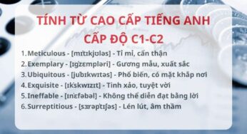 Bộ 100+ từ vựng tiếng Anh cao cấp, từ vựng trình độ C1-C2