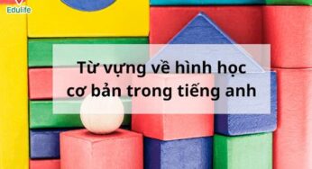 50+ Từ vựng tiếng anh về hình học