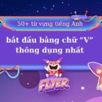 50+ từ vựng tiếng Anh bắt đầu bằng chữ “V” thông dụng nhất