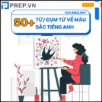 Bỏ túi bộ từ vựng tiếng Anh về Màu sắc (Colour) đầy đủ nhất