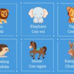 TỪ VỰNG TIẾNG ANH CHỦ ĐỀ CON VẬT CHO BÉ