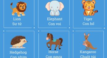 TỪ VỰNG TIẾNG ANH CHỦ ĐỀ CON VẬT CHO BÉ
