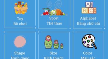 TỔNG HỢP 300+ TỪ VỰNG TIẾNG ANH TIỂU HỌC TỪ LỚP 1 ĐẾN LỚP 5